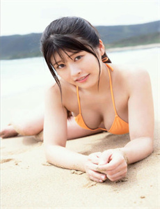 峡谷重案组第四季