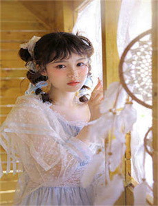 蝴蝶2004